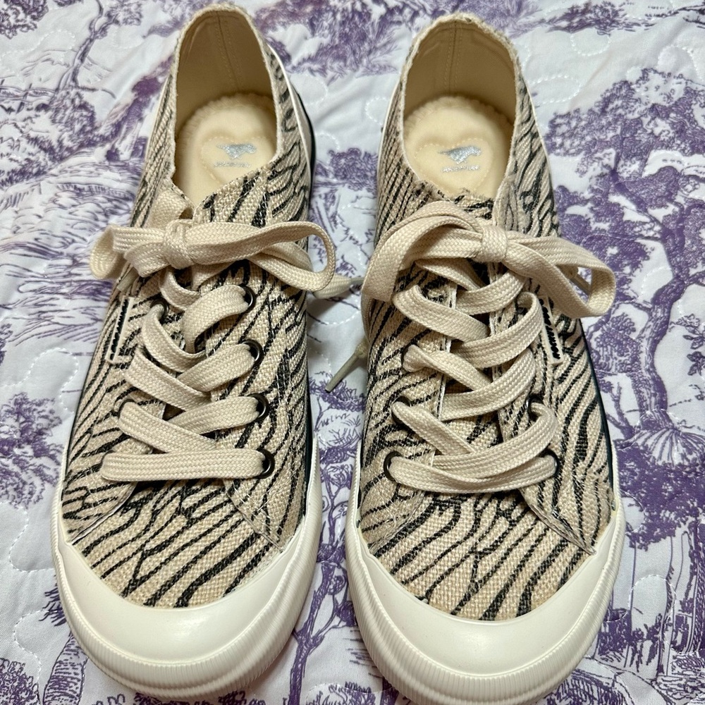Rocket Dog Zebra Print Canvas Sneakers Size 8 Never Worn